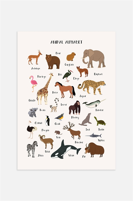 Плакат с алфавитом животных - Фото 12483813