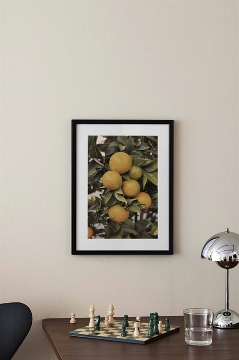 Постер Апельсиновое дерево - Фото 12508998