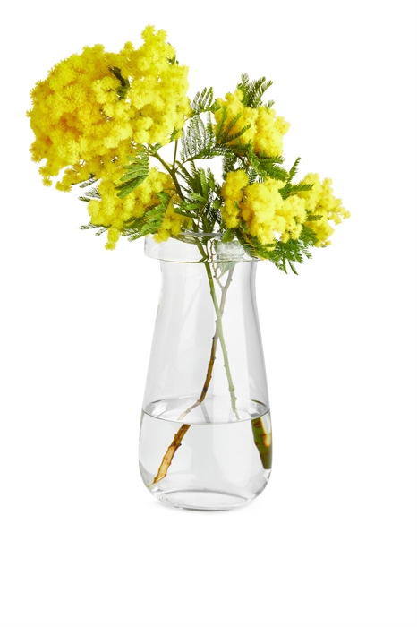 Стеклянная ваза, 26 см - Фото 12603259
