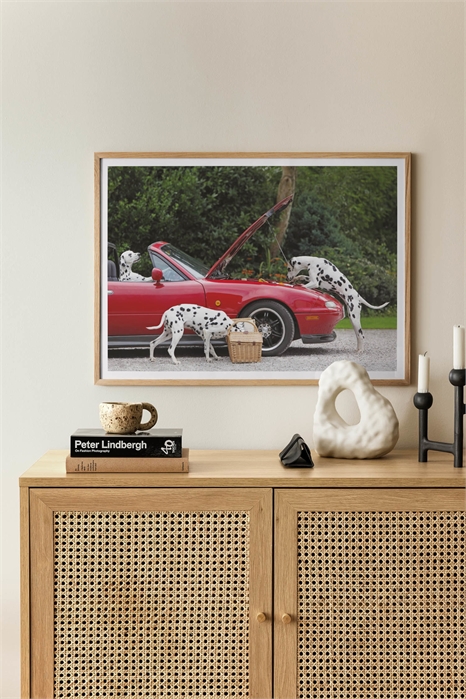 Постер "Три далматинца 1285933001 - Фото 13190257