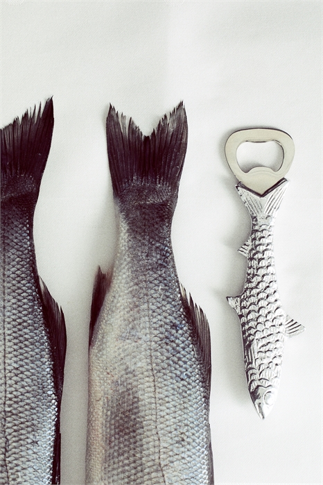 Открывалка для бутылок в форме рыбы 1253648001 - Фото 13578729