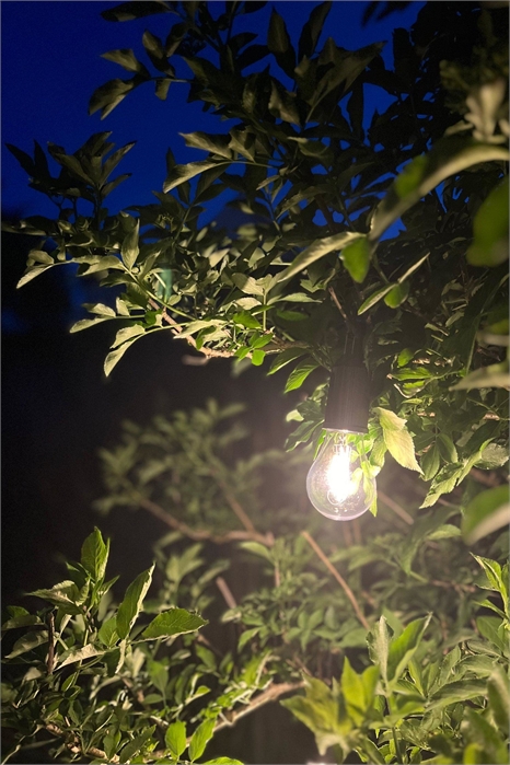 Аккумуляторный светильник 2 шт. 1276427001 - Фото 13672792