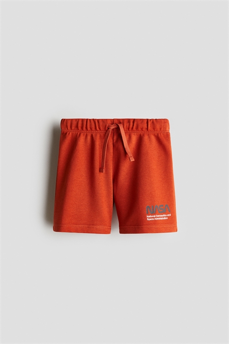 Шорты с принтом 1228402031 - Фото 13673767