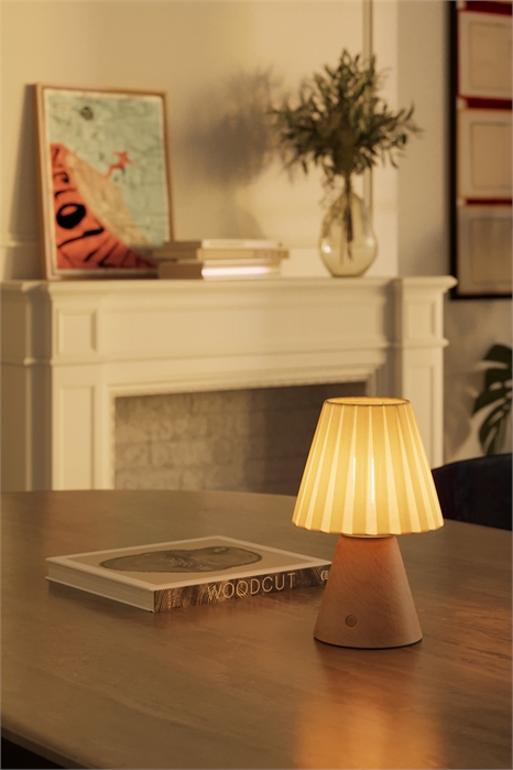 Перезаряжаемая лампа с абажуром и лампочкой 1252602007 - Фото 13705569