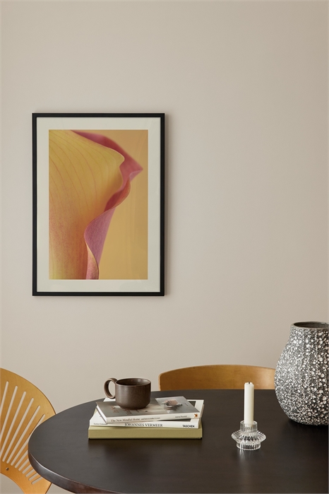 Постер "Тюльпан, освещенный солнцем 1320900001 - Фото 13769097