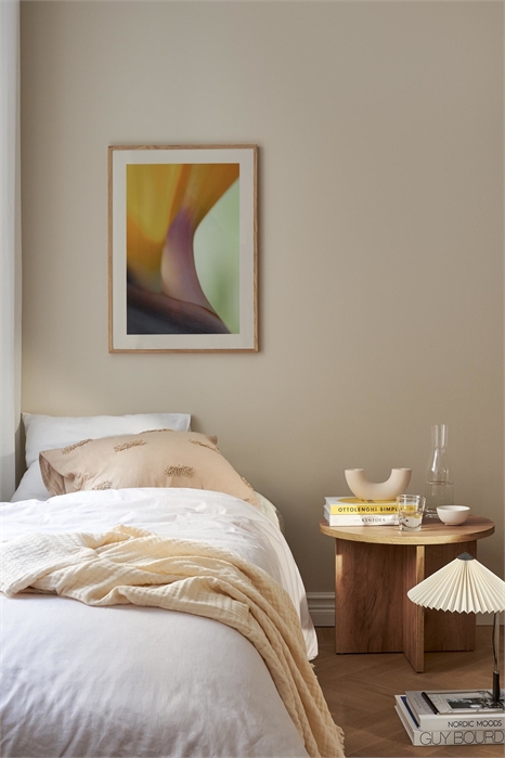 Постер "Тюльпан, освещенный солнцем 1320900002 - Фото 13769100