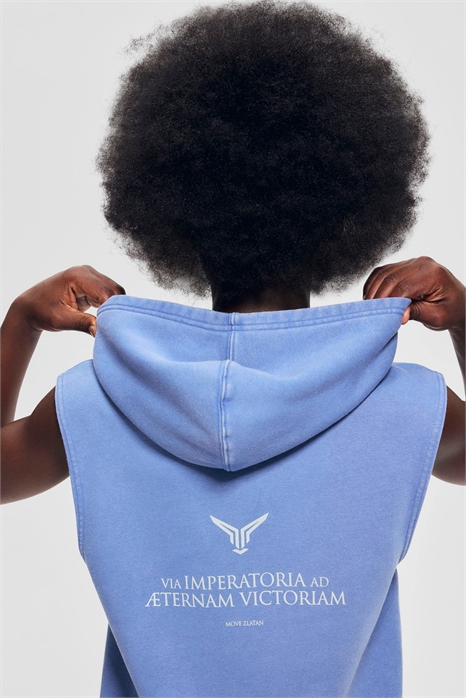 Спортивная толстовка без рукавов 1285654001 - Фото 13784189