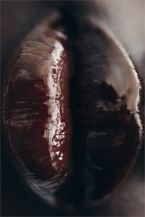 Масло для губ 1253813005 - Фото 13800340