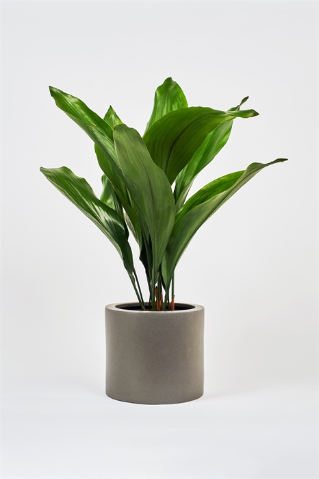 Чугун 1145542001 - Фото 13835967