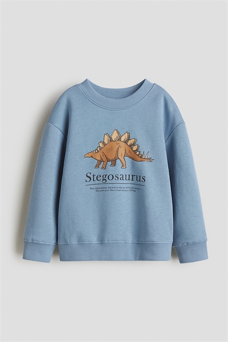 Свитшот 1078507101 - Фото 13840857