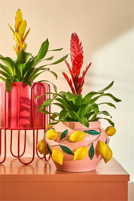 Комплект из двух металлических горшков для растений на подставке 1305949001 - Фото 13858179