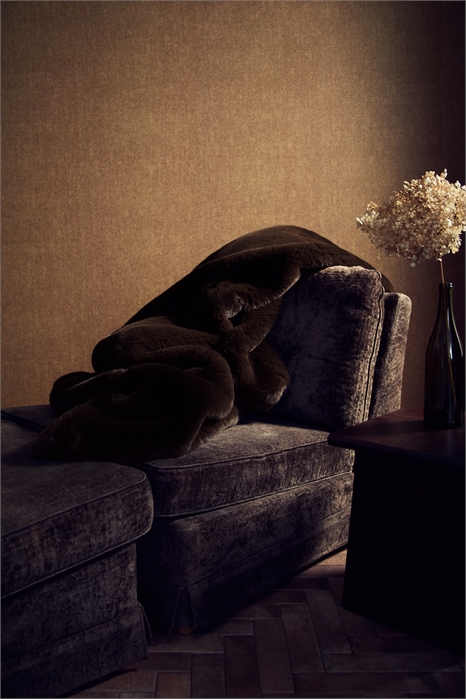 Пушистое одеяло 1298082003 - Фото 13875343