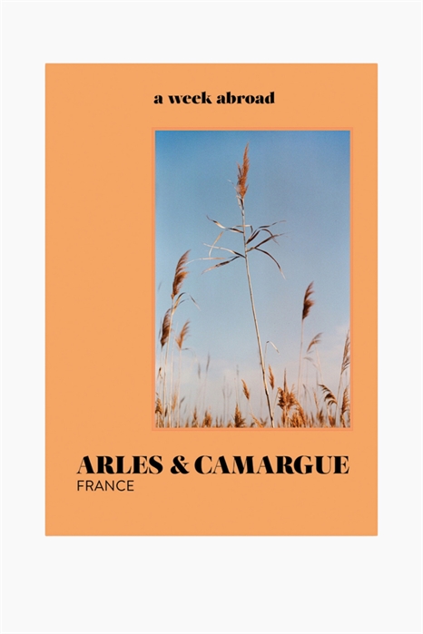 Неделя за границей Арль и Камарг 1330473001 - Фото 13886136
