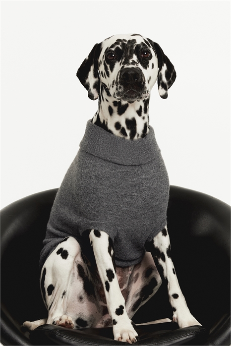 Джемпер для собаки из тонкой вязки 1244137002 - Фото 13886231