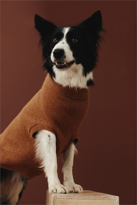 Джемпер для собаки из тонкой вязки 1244137001 - Фото 13886325