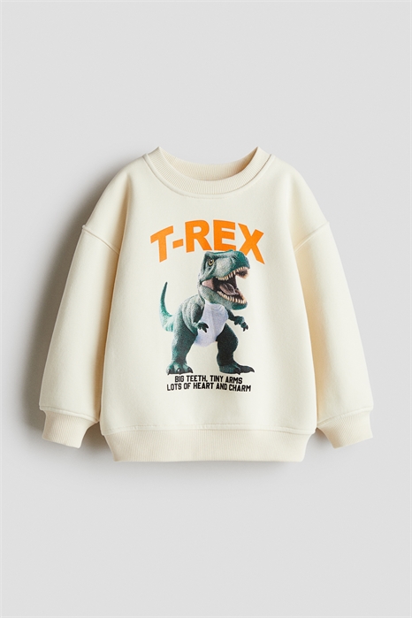 Толстовка с принтом 1308148020 - Фото 13888598