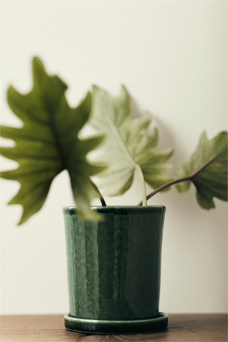 Небольшой горшок для трав и блюдце 1129888005 - Фото 13890646