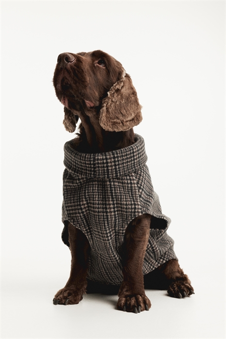 Флисовый топ для собаки 0906339021 - Фото 13893152