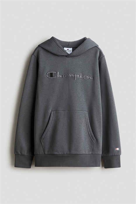 Толстовка с капюшоном 1306900001 - Фото 13899111