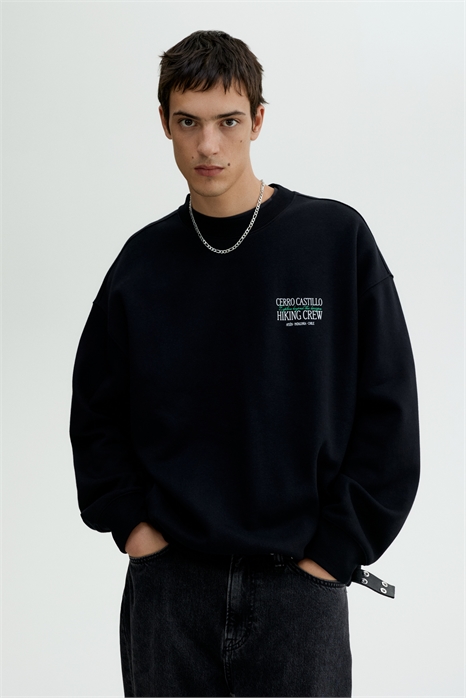 Толстовка с принтом Loose Fit 1296799001 - Фото 13903531