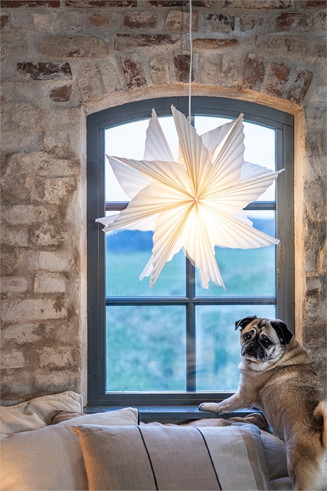 Рождественская звезда Noomi 1216702001 - Фото 13914832