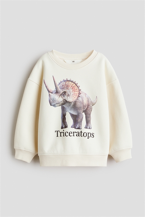 Толстовка с принтом 1308148022 - Фото 13966278