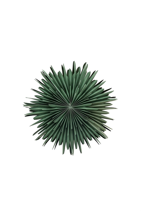 Sälen пуансеттия 60 см 1231649004 - Фото 13971824