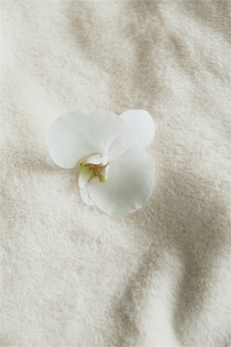 Пушистое покрывало 1284783001 - Фото 13988364