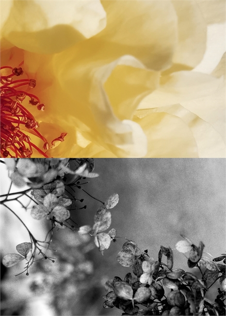 Коллекция туалетной воды 1104321001 - Фото 14056183