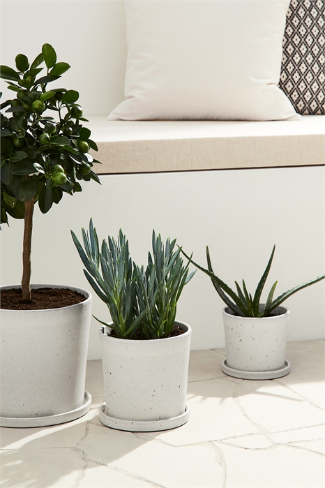 Горшок для растений и блюдце 1023303003 - Фото 14104770