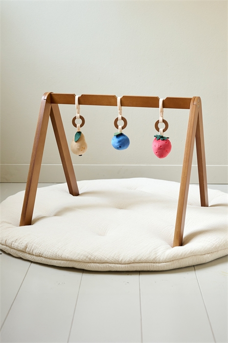 Детский тренажерный зал - Фрукты 1332003001 - Фото 14132329