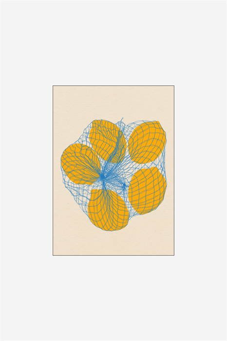 Rosi Feist - Five Lemons In A Net Bag 1235592001 - Фото 14149524