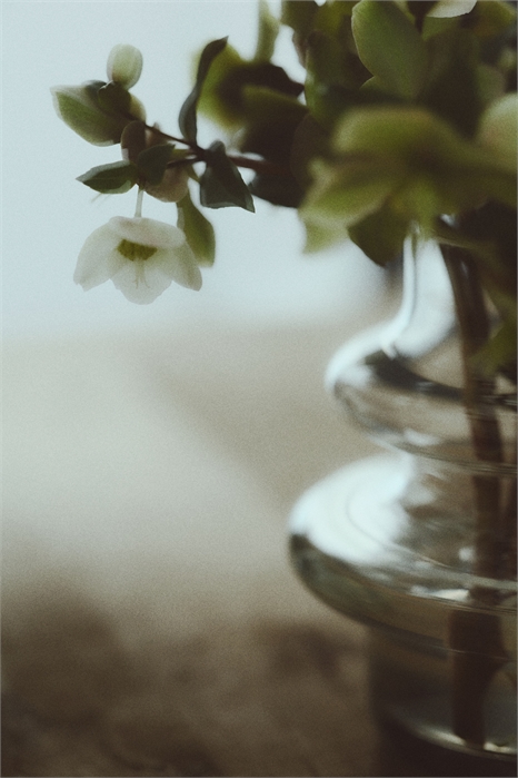 Маленькая многоярусная стеклянная ваза 1312116001 - Фото 14156470