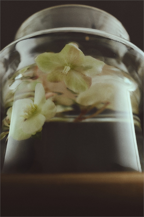 Широкая многоярусная стеклянная ваза 1312117001 - Фото 14156479