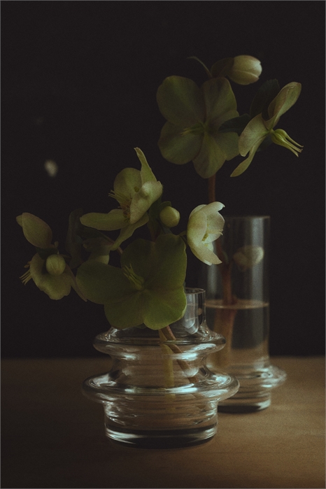 Набор из двух миниатюрных стеклянных ваз 1312123001 - Фото 14156489