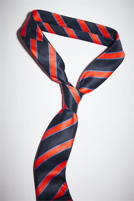 Атласный галстук 1305252004 - Фото 14160795