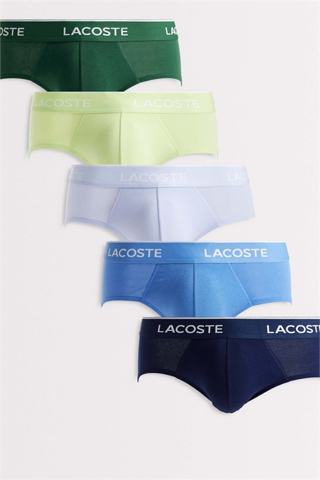 Набор из 5 цветных трусов артикул 155117001