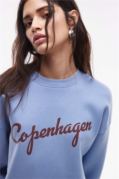 Свитшот с принтом из Копенгагена свободного кроя артикул 142541317