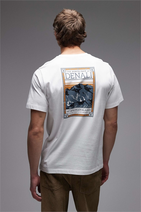 Футболка с принтом на спине «Денали» артикул 154426512