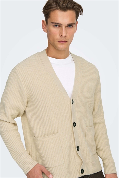 Кардиган, город в Уэльсе артикул 154928315