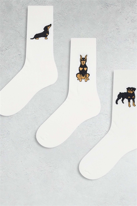 Набор из 3 пар носков с изображением собаки артикул 147196894