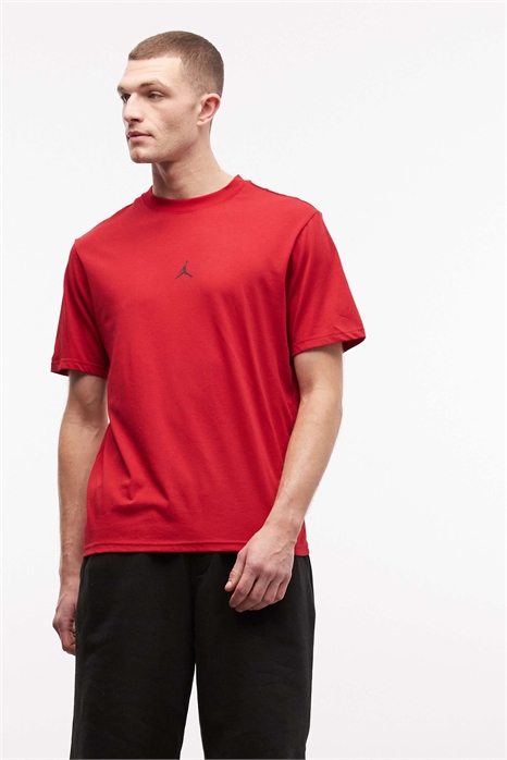 Футболка Sport Jumpman артикул 149961003