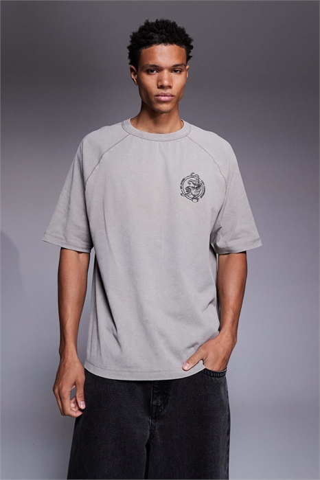 Толстовка-раглан свободного кроя с принтом на груди артикул 151526901