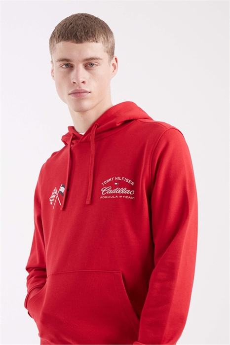 Худи с логотипом Cadillac F1 на капюшоне артикул 154160607