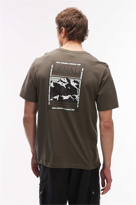 Футболка с принтом на спине «Денали» артикул 154426513