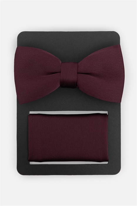 Набор из атласного галстука-бабочки и нагрудного платка артикул 154610058