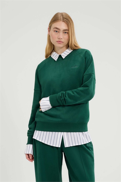 Недорогая толстовка артикул 154654355