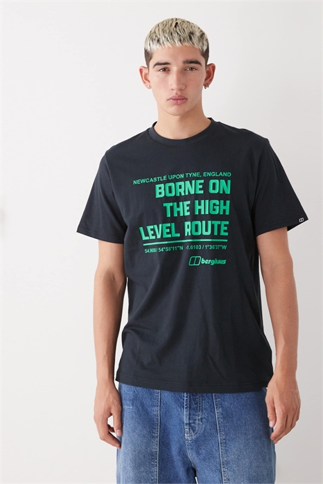 Т-образный переход высокого уровня артикул 151068709