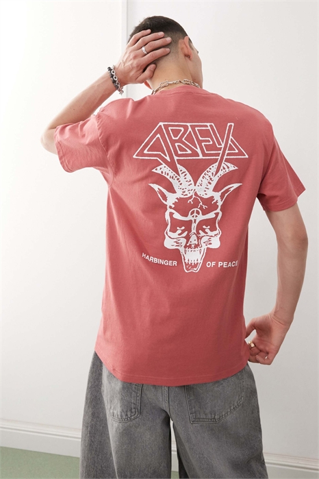 Футболка с графическим логотипом «Предвестник мира» и принтом на спине артикул 143246313