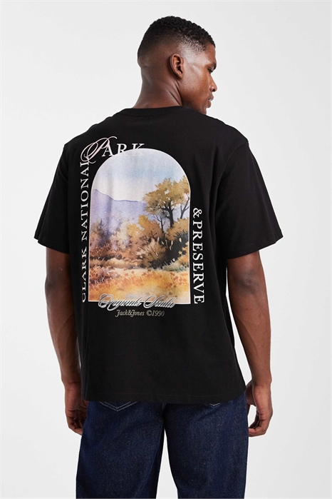 Футболка свободного кроя с пейзажным принтом на спине артикул 148852614